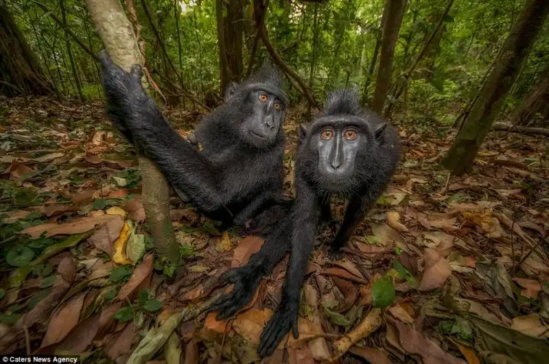 La curiosita le spinge a costruire relazioni con gli uomini 