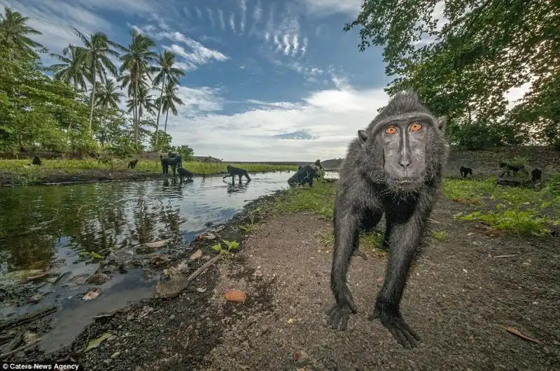 La famigliola si bagna sull isola indonesiana 