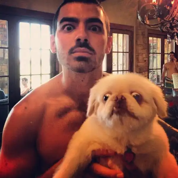 JOE JONAS 