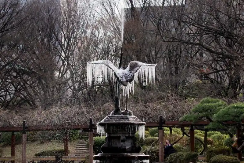 Statua ghiacciata a Tokio 