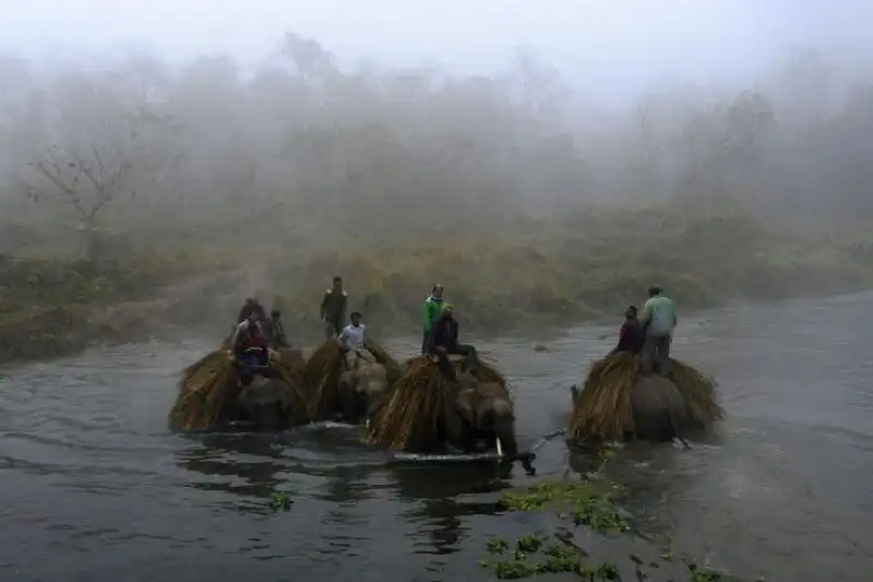 Verso Katmandu per il festival degli elefanti 