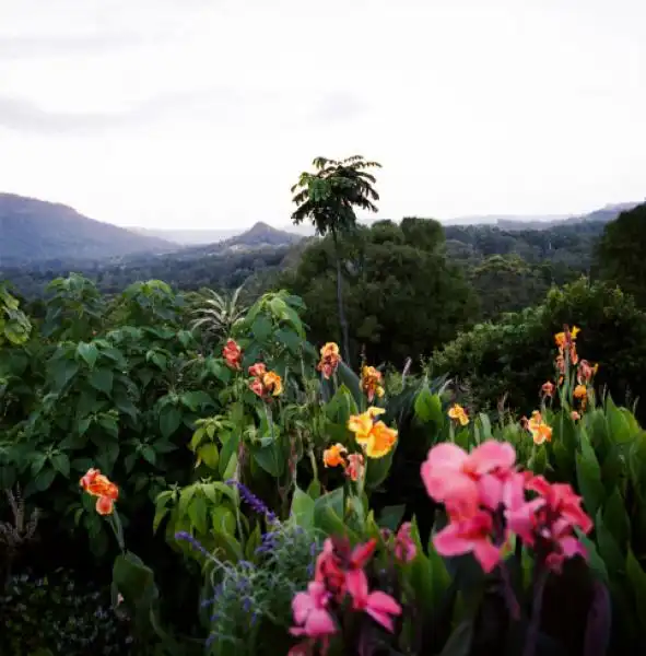 La vista da Nimbin Valley 