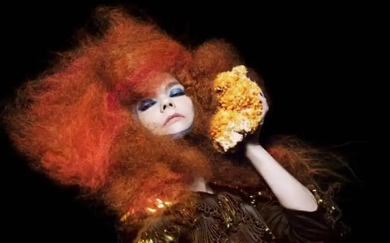 bjork 3