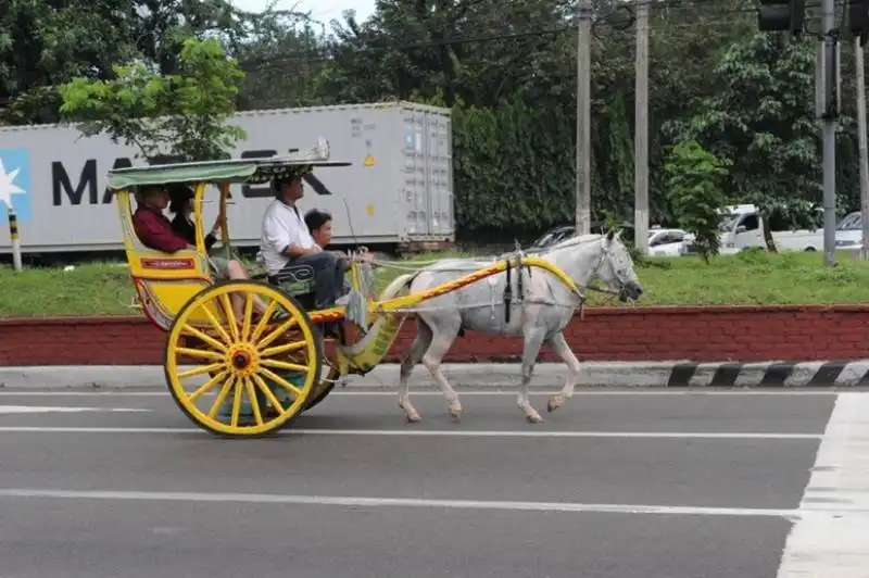 filippine   la visita di papa bergoglio a manila  173