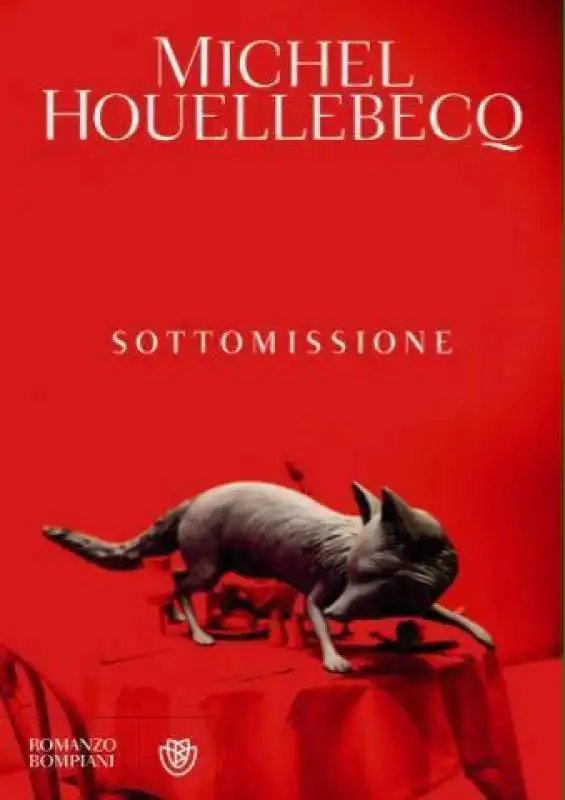 michel houellebecq 1