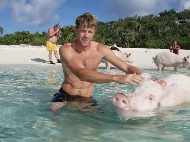 pig beach, bahamas