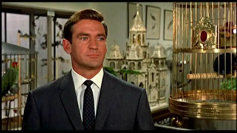 rod taylor