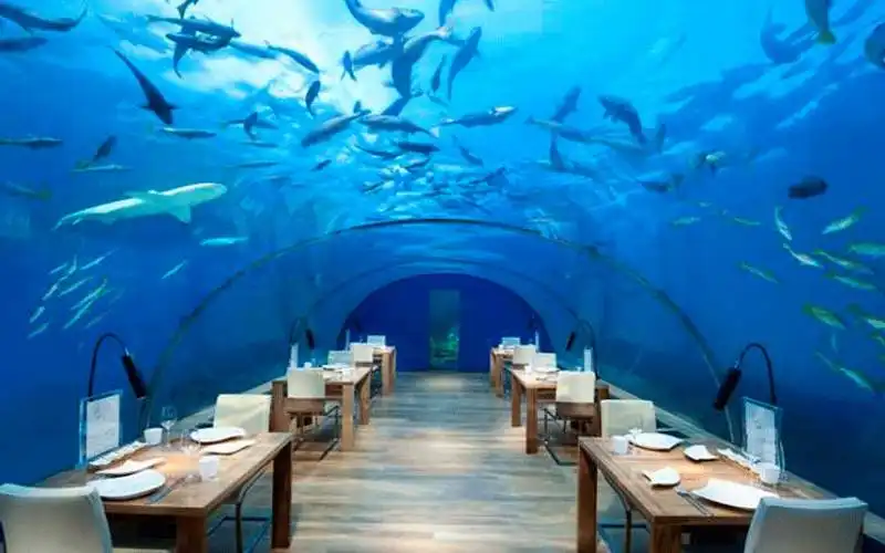 underwater restaurant maldive