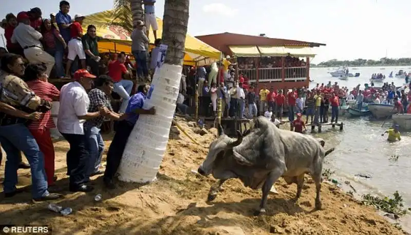 fiesta de la virgen de la candelaria 8