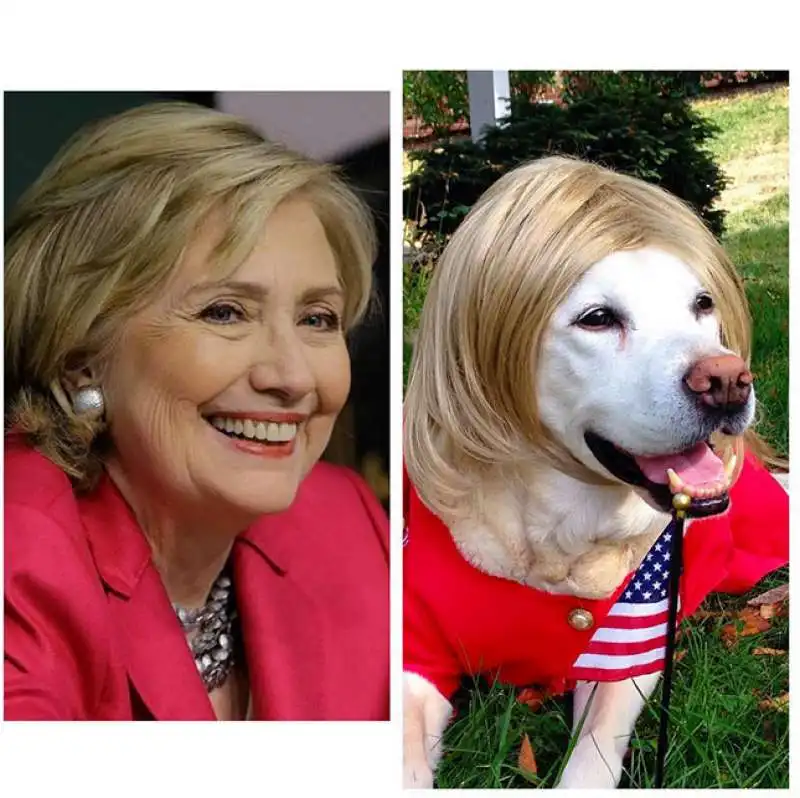 hillary clinton cane