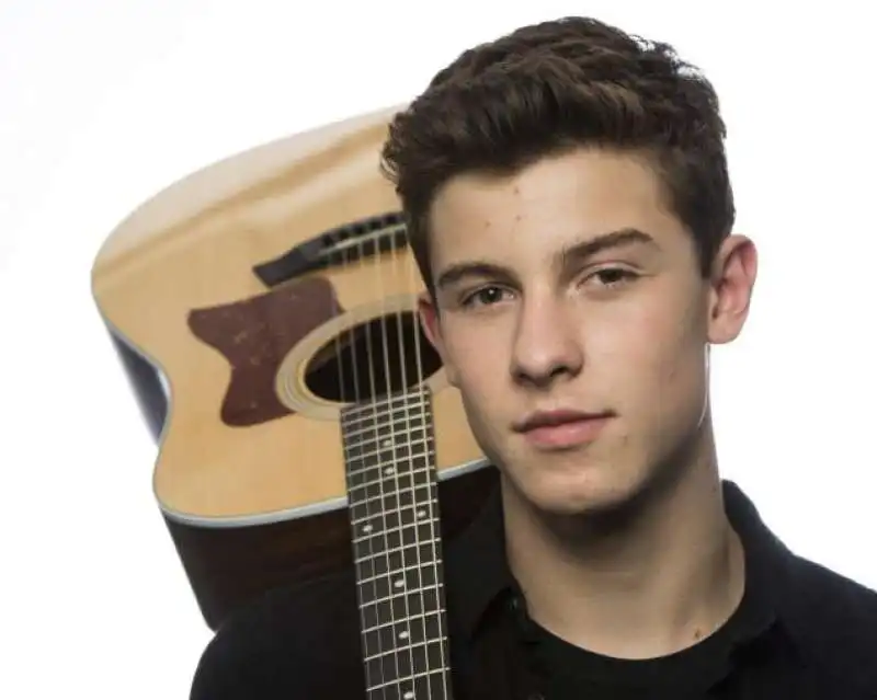 shawn mendes