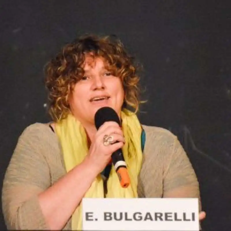 bulgarelli M5S