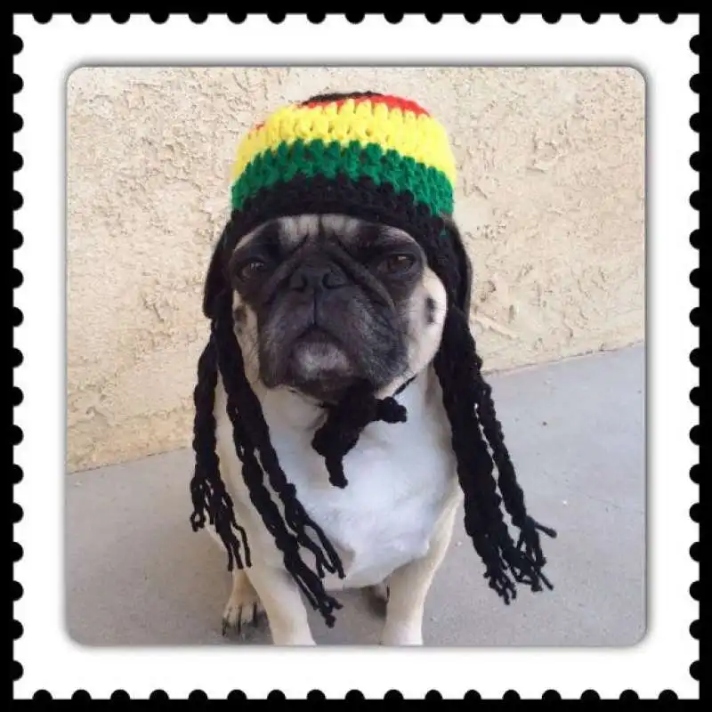 carlino reggae