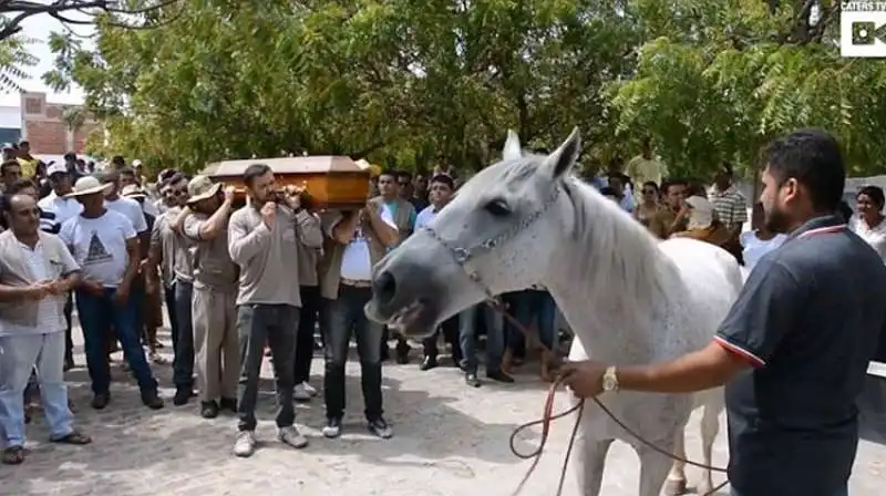 CAVALLO SERENO PIANGE AL FUNERALE DEL PADRONE