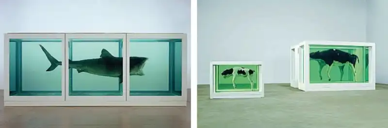 damien hirst  