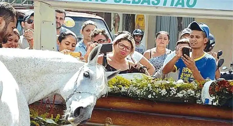 IL CAVALLO SERENO PIANGE AL FUNERALE DEL PADRONE