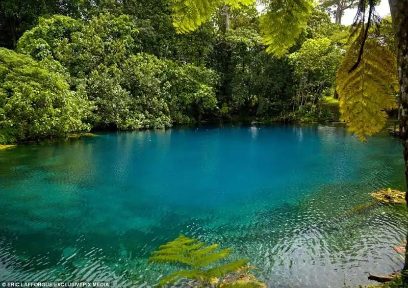 isola vanuatu