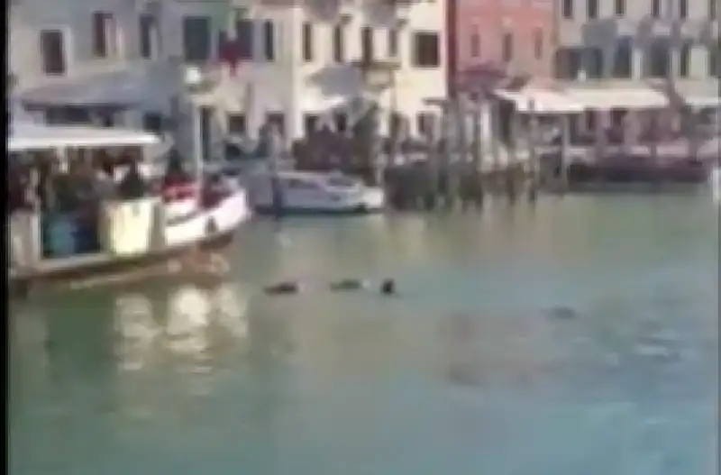 profugo annega venezia