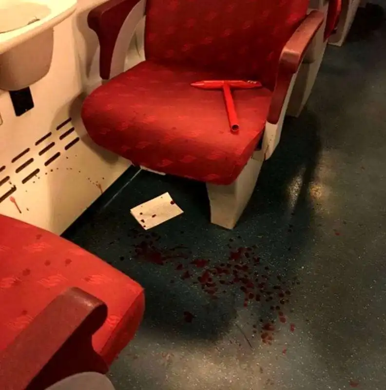 ACCOLTELLATO SUL TRENO A MILANO