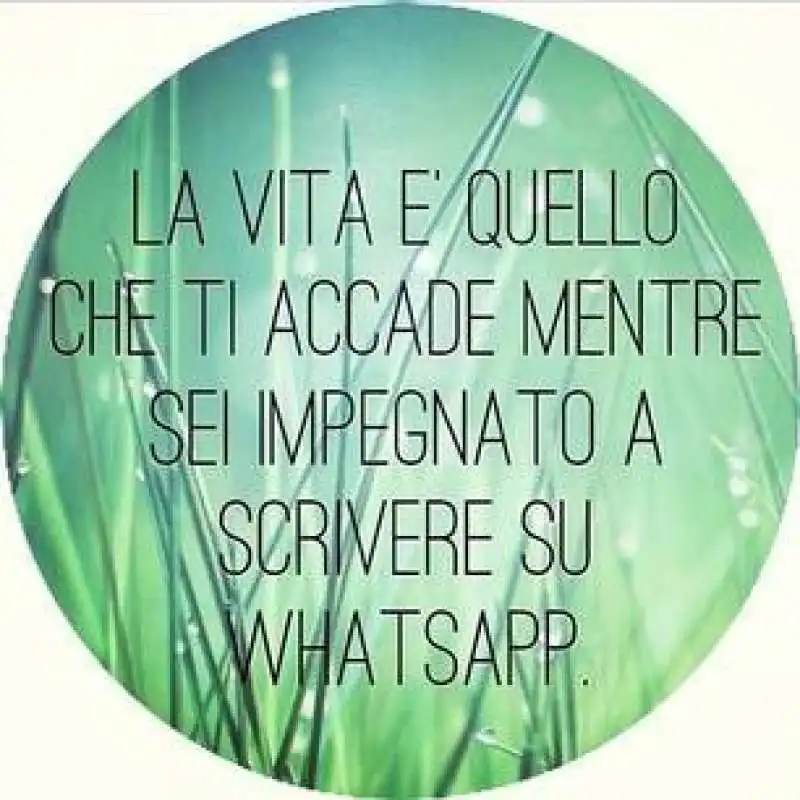 ansia da whatsapp 2