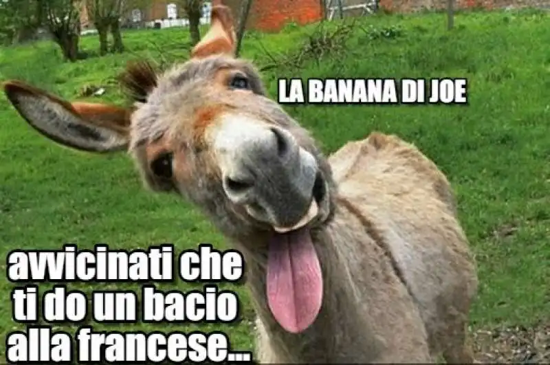 bacio meme