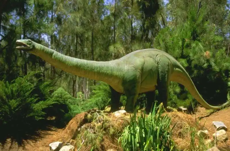 brontosauro