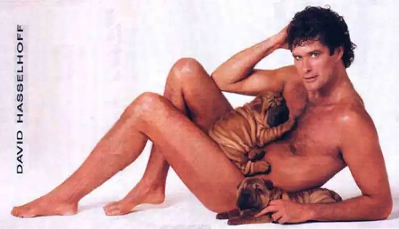 david hasselhoff