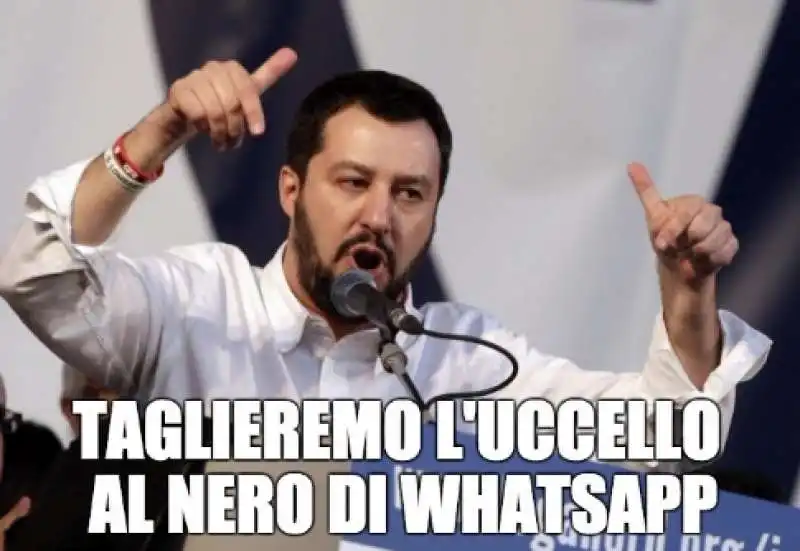 IL MEME SULLE PROMESSE ELETTORALI DI SALVINI