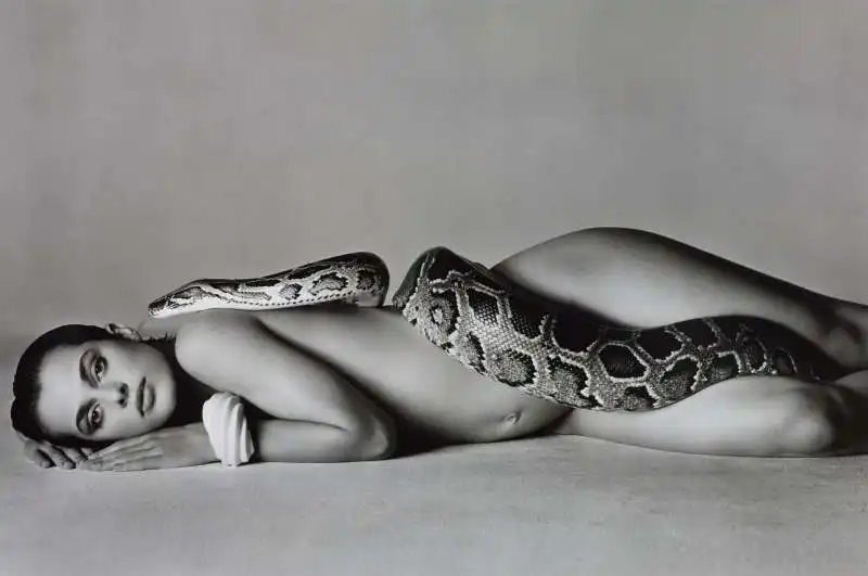 richard avedon nastassja kinski and the serpent