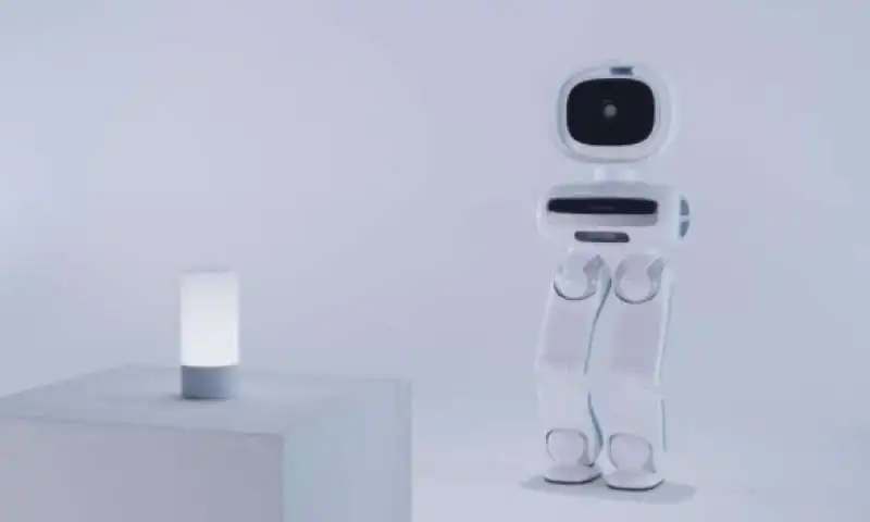 robot vigilante di casa