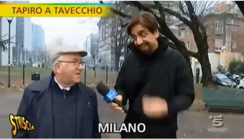 tavecchio