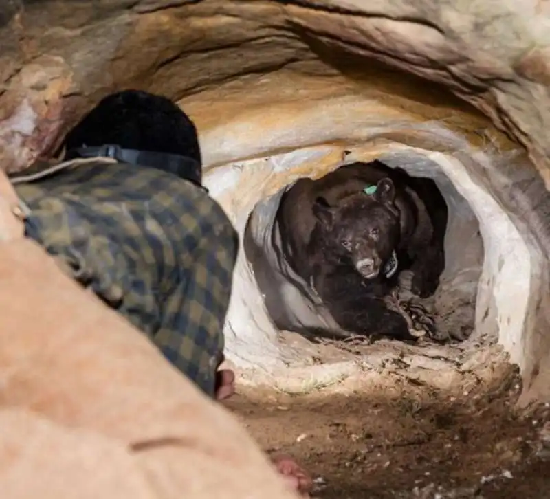 uno di troppo in questa grotta