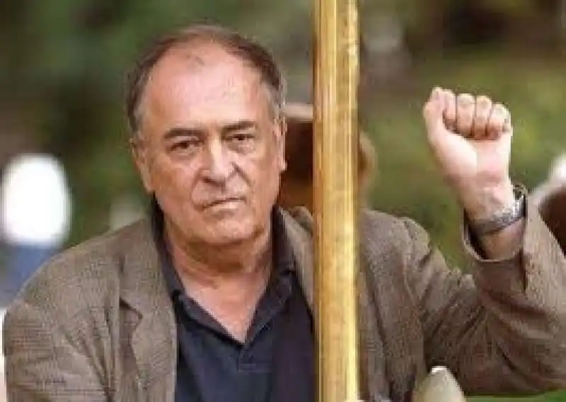 bertolucci (4)