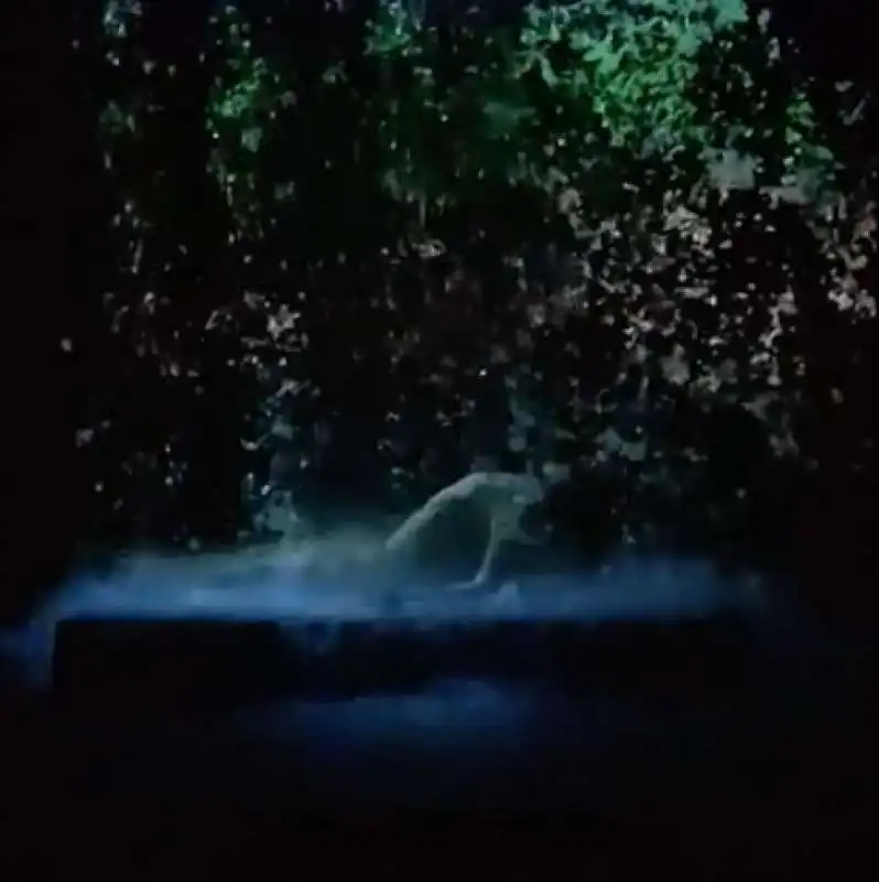 bill viola e michelangelo: life, death, rebirth 6