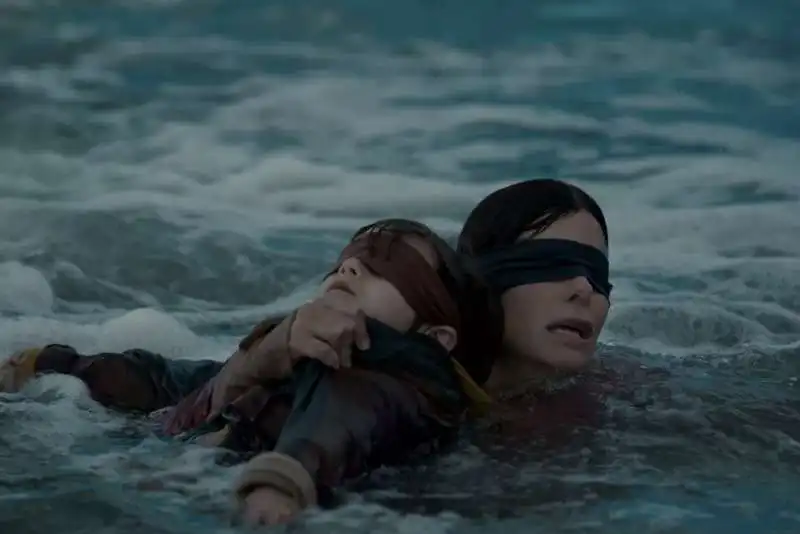 bird box 3