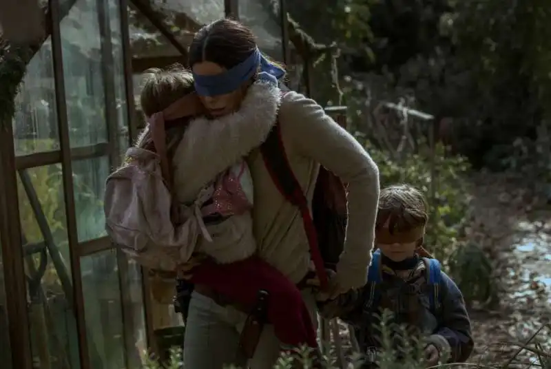 bird box 5