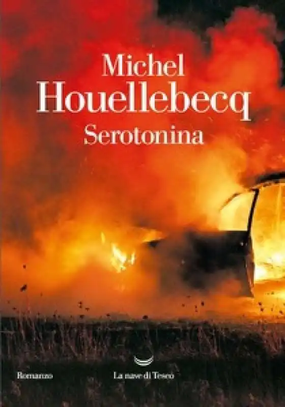 houellebecq  serotonina