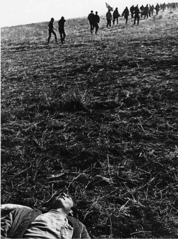 il festival di altamont ph bill owens 8