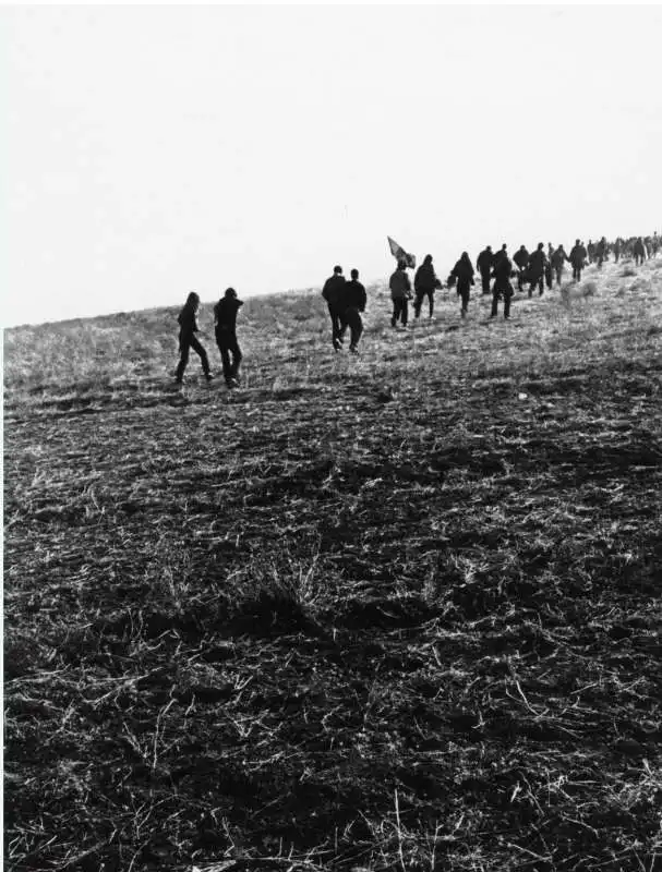 il festival di altamont ph bill owens 9