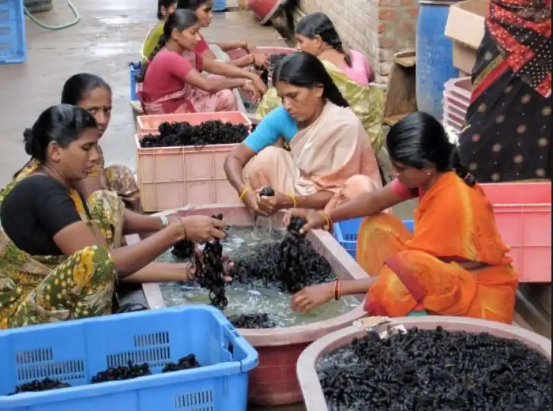 sacrificio dei capelli in india 6