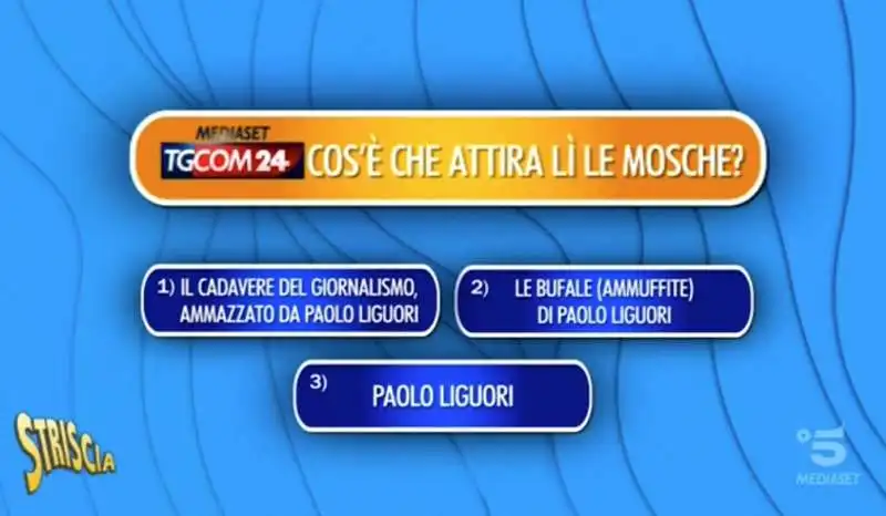 sondaggio di striscia sulle mosche nello studio di tgcom24