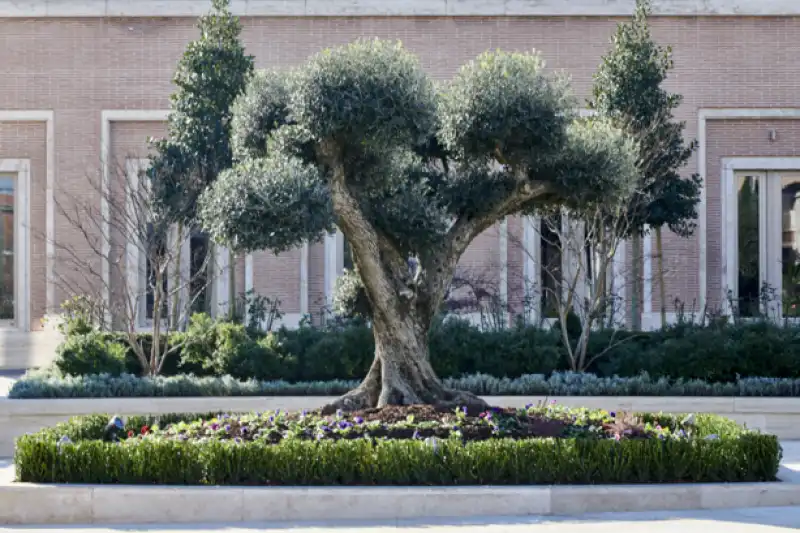 tempio mormone di roma bufalotta 16