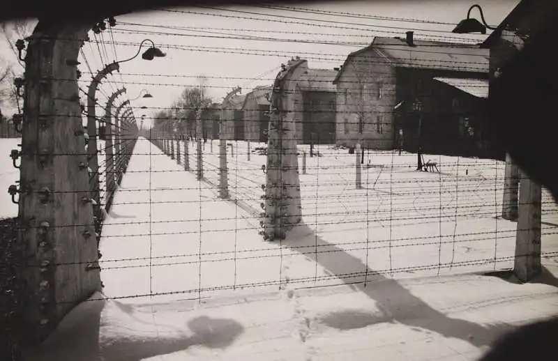 auschwitz 3