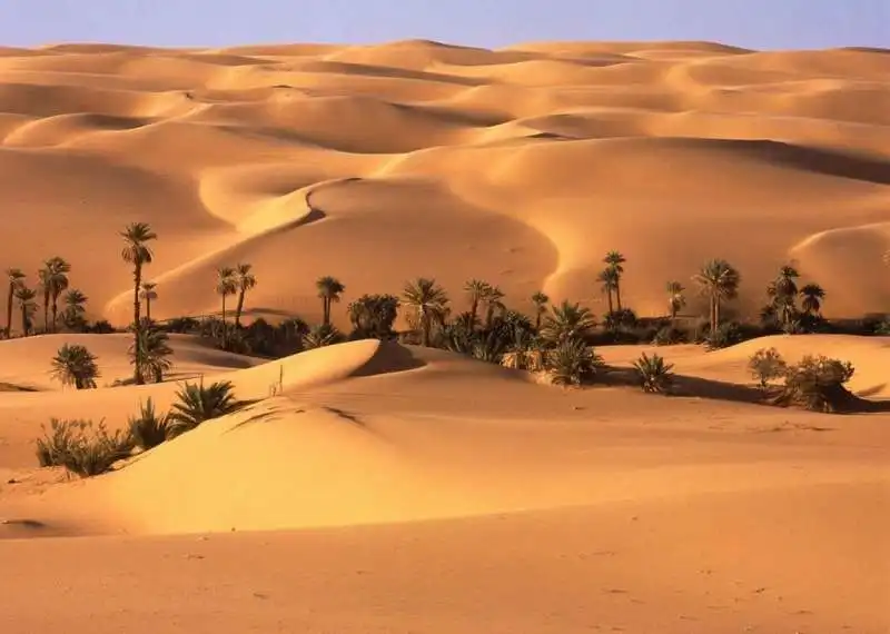 DESERTO DEL QUARTO VUOTO 