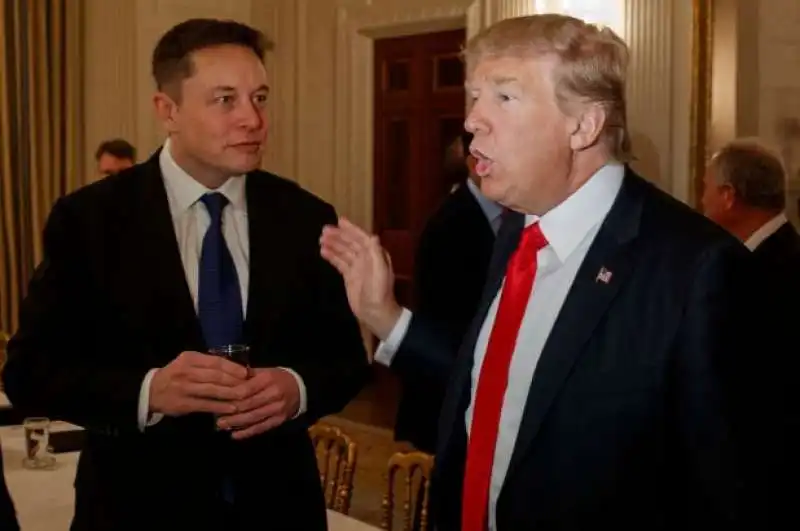 elon musk donald trump