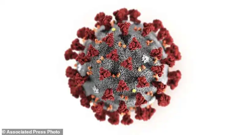 il coronavirus cinese