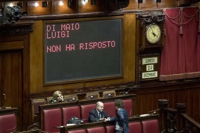 IL VOTO DI LUIGI DI MAIO