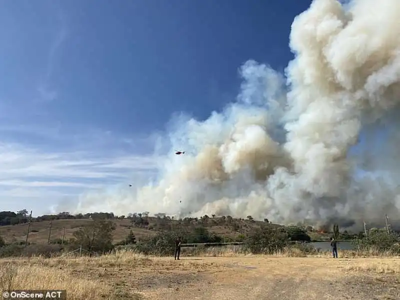 incendi in australia 6