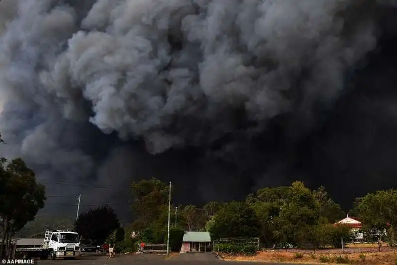 incendi in australia 9