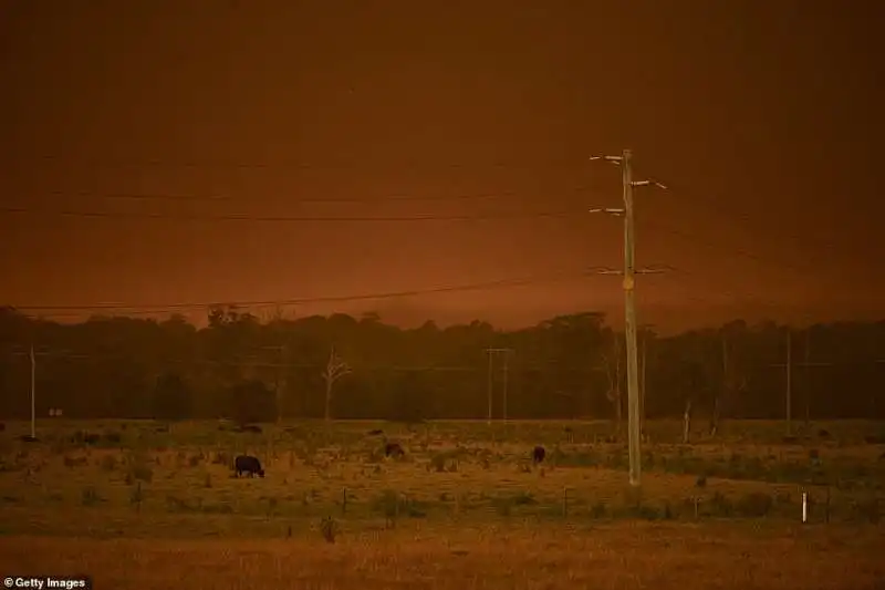 incendi in australia 9